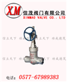 國(guó)標(biāo)電站閘閥